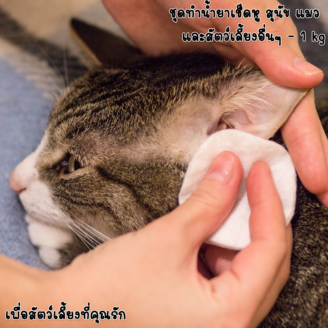 ✨ 12787 ชุดทำน้ำยาเช็ดหู สุนัข แมว และสัตว์เลี้ยงอื่นๆ - สามารถผลิตได้ 1 kg