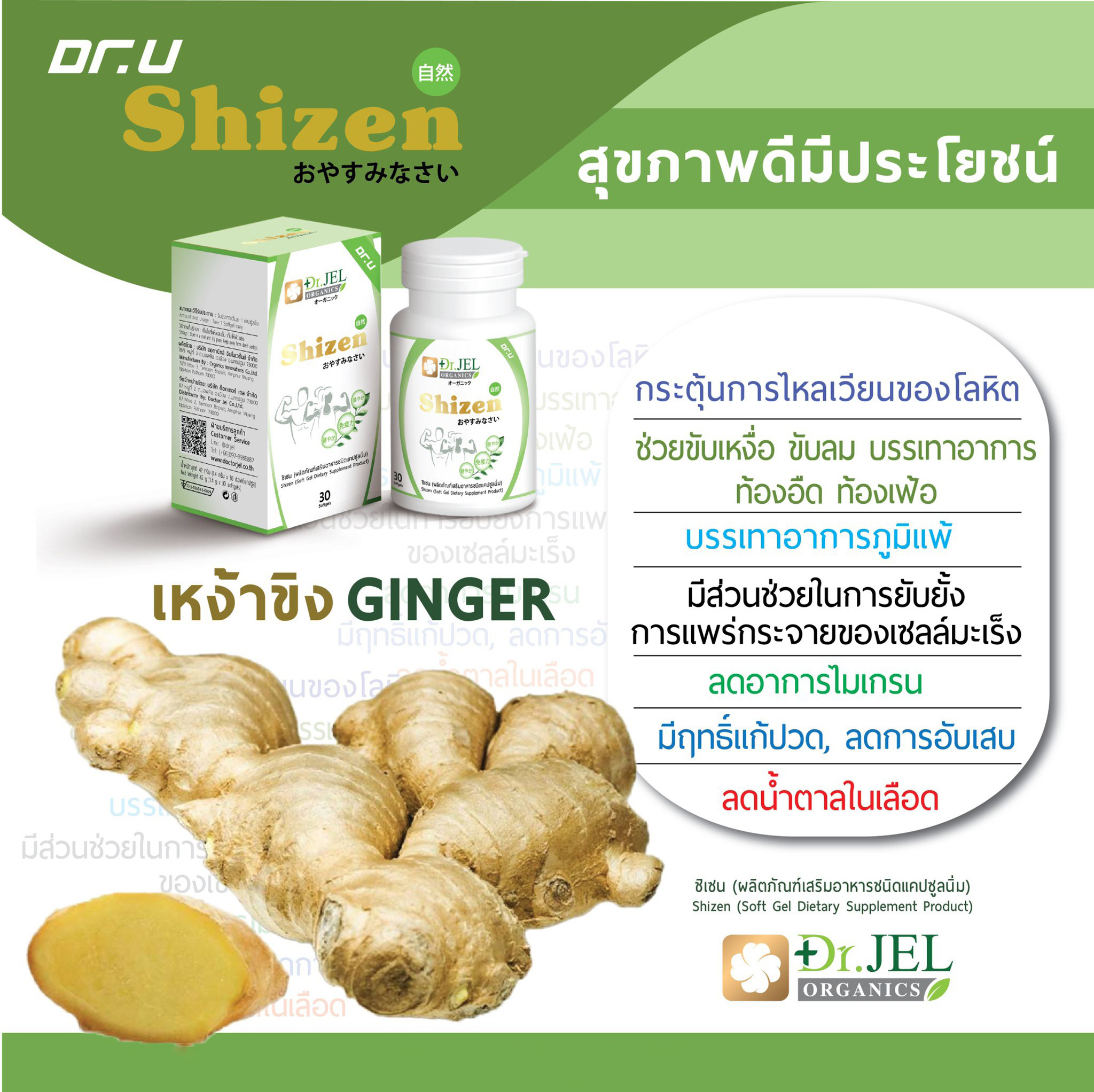 เหง้าขิง Shize Dr.U
