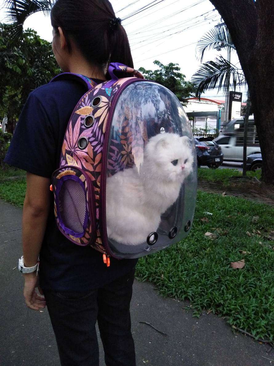 กระเป๋าเป้แคปซูล สำหรับสัตว์เลี้ยง