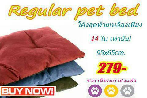 ที่นอนสัตว์เลี้ยง