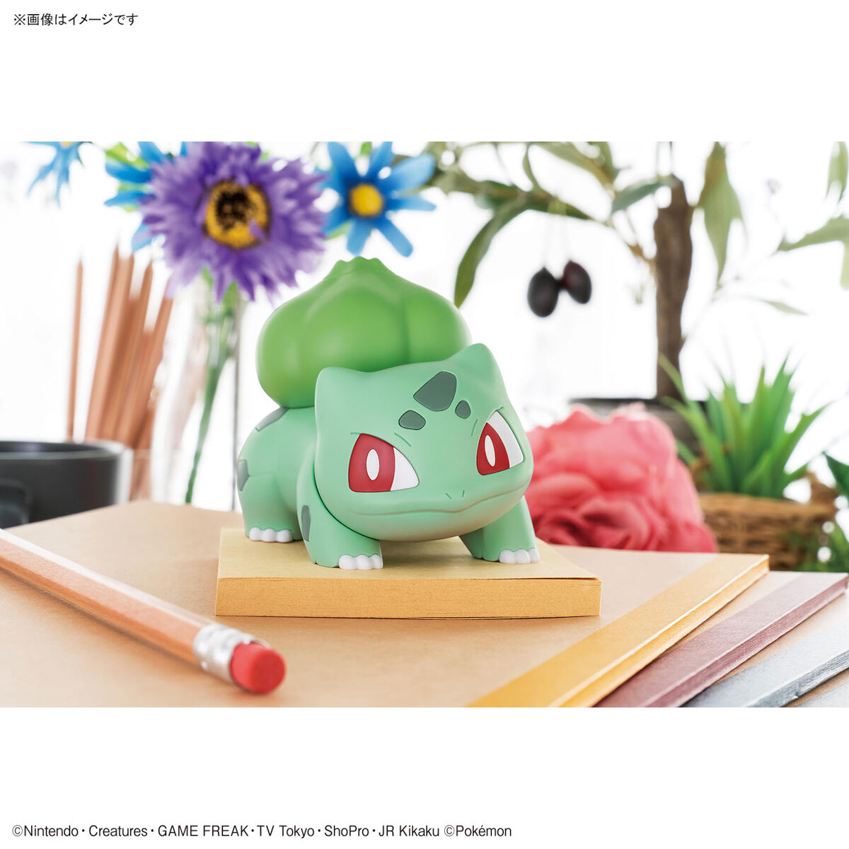 POKEMON PLAMO COLLECTION QUICK 13 BULBASAUR