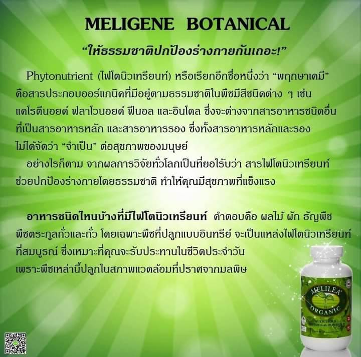 ผงผักรวมออร์แกนิค เมลิเลีย BOTANICAL POWDER เมลิเลีย ออแกนิค Melilea Organic