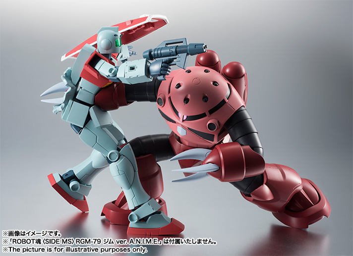 THE ROBOT SPIRITS <SIDE MS> MSM-07S シャア専用ズゴック ver. A.N.I.M.E.