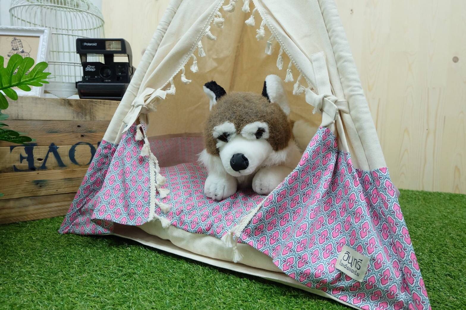 กระโจมสัตว์เลี้ยง สุดเก๋