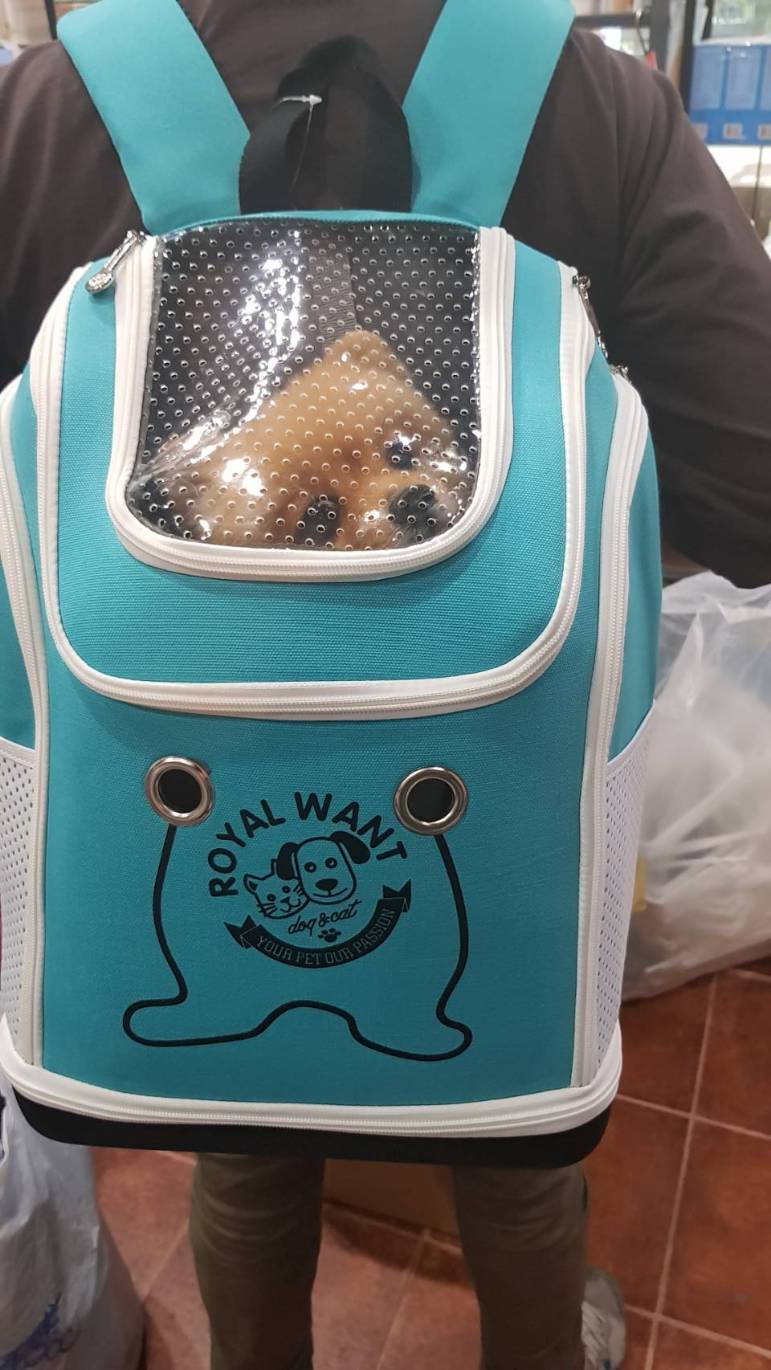 กระเป๋าสะพายใส่สัตว์เลี้ยง