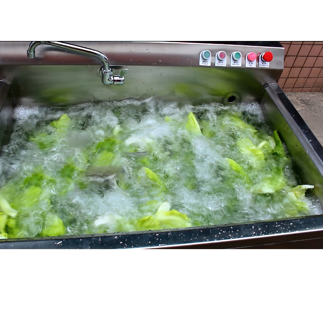 🌈 15463 เครื่องล้างผักผลไม้ ขนาดเล็ก ZH-DQX1000