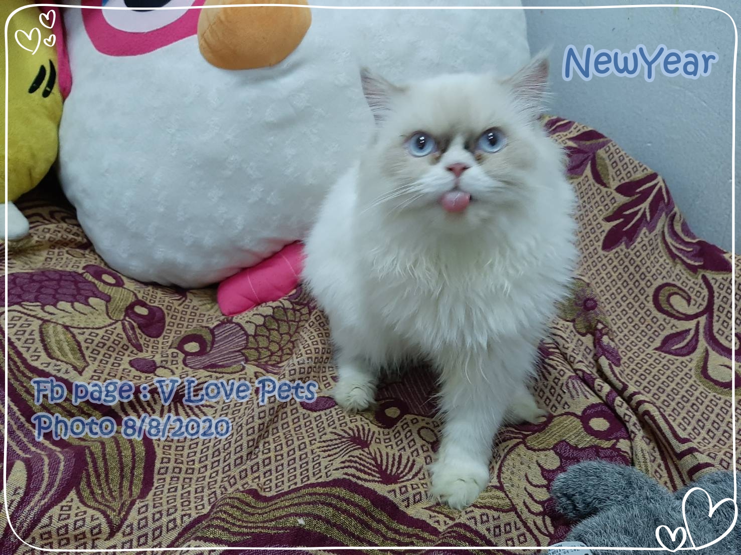 น้องนิวเยียร์