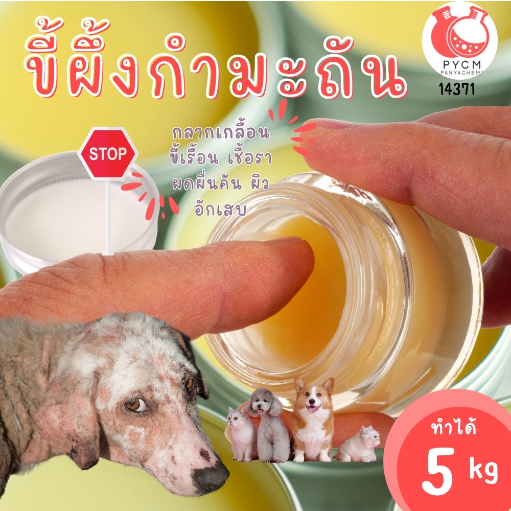 🍒14371 ชุดทำ ขี้ผึ้งเม้นจ์ ขี้ผึ้งกำมะถัน ทาแก้กลากเกลือน เรื้อน ลดเชื้อรา-5kg