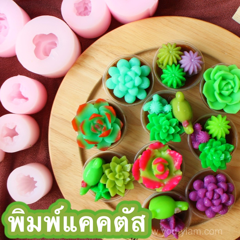 แม่พิมพ์วุ้น 3มิติ ต้นแคคตัส