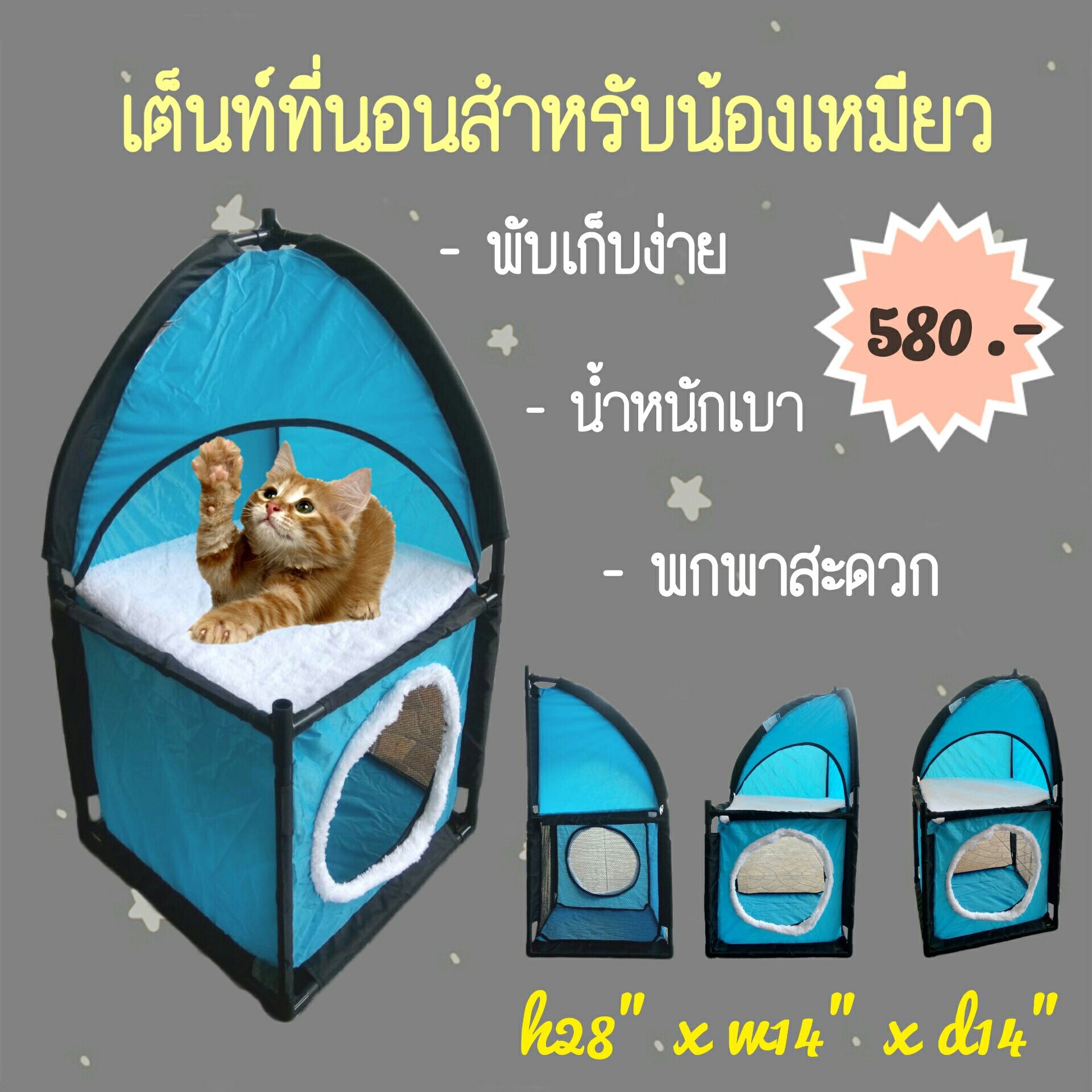 เต็นท์ของเล่นแมว