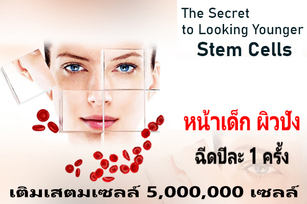 สเตมเซลล์ทารก ปีละครั้ง ปังตลอดปี