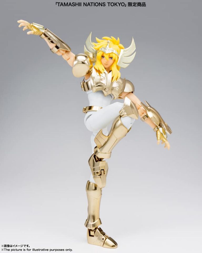 Saint Cloth Myth EX Cygnus Hyoga (New Bronze Cloth) -GOLDEN LIMITED EDITION
