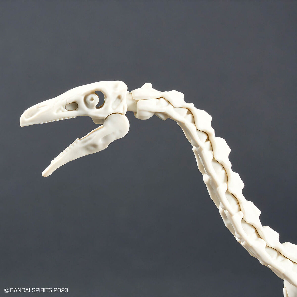 PLANNOSAURUS THERIZINOSAURUS