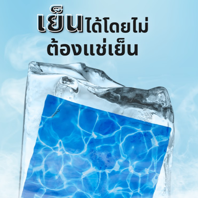 ที่นอนเจลเย็นสัตว์เลี้ยง