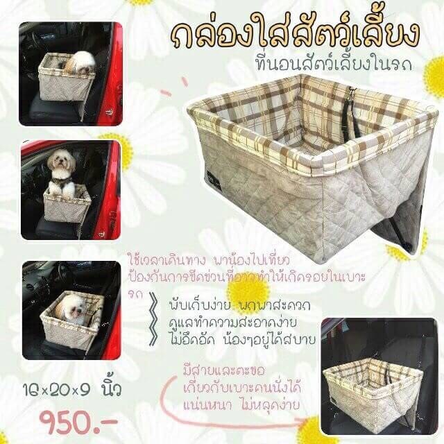 ที่นอนสัตว์เลี้ยงในรถ