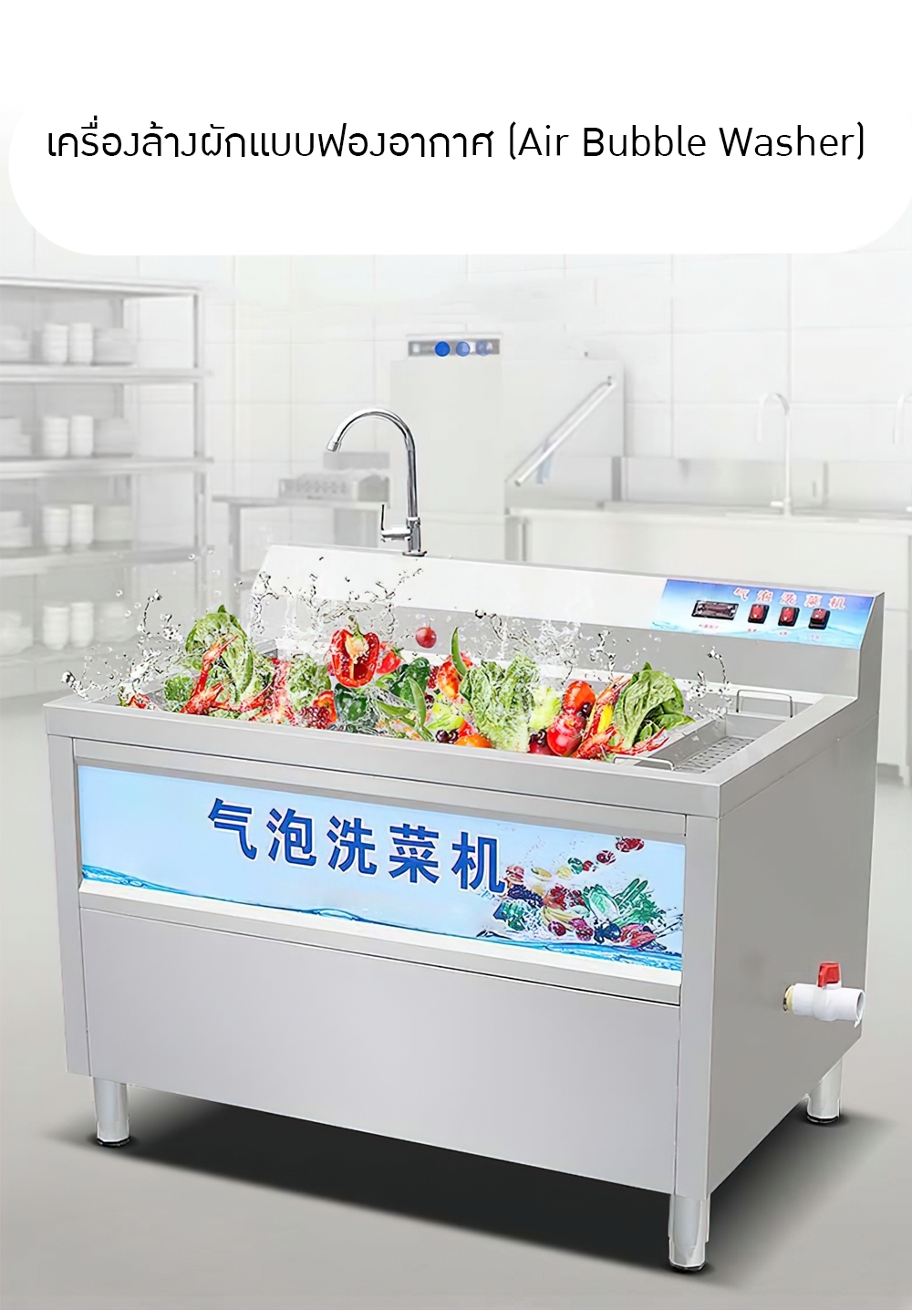 เครื่องล้างผักแบบฟองอากาศ (Air Bubble Washer) LC-J-BF