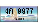 ทะเบียนสงขลา,สงขลา 9977,ป้ายประมูล, - งค 9977 สงขลา,ป้ายประมูลสงขลา,