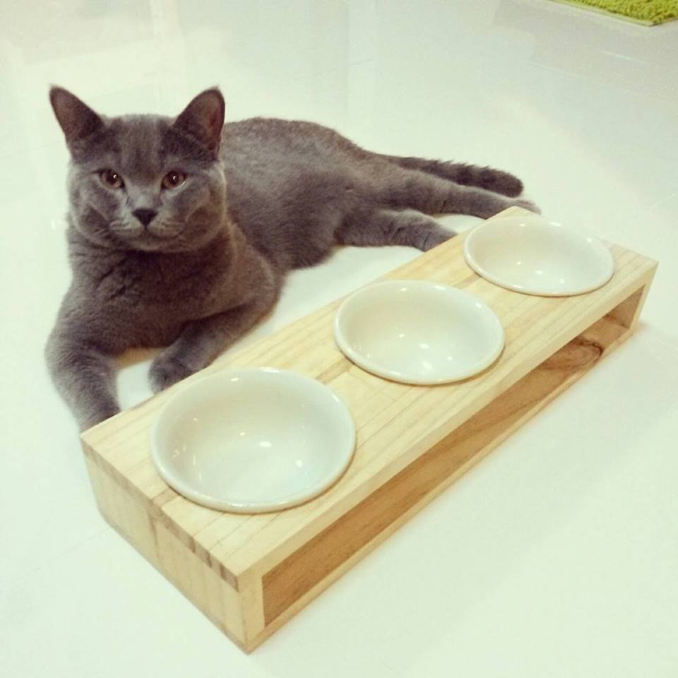 ถาดอาหารสัตว์เลี้ยงแบบสามหลุม