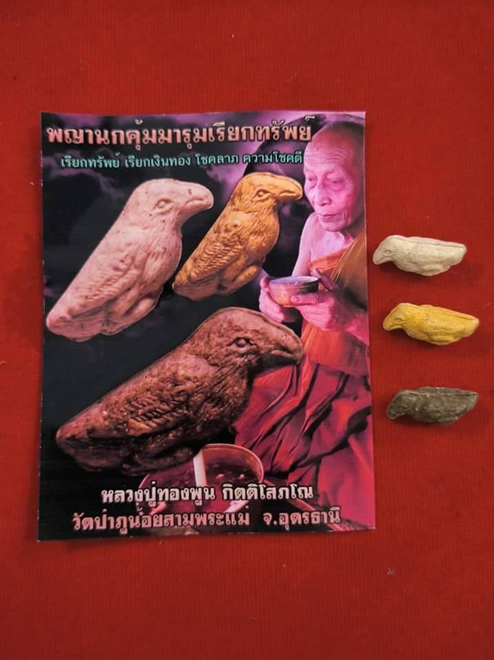 พญานกคุ้มมารุมเรียกทรัพย์ หลวงปู่ทอง พูน กิตติโสภโณ วัดป่าภูน้อยสามพระแม่