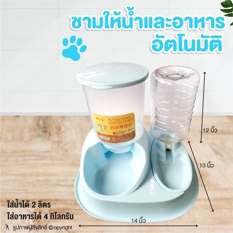 ชามให้น้ำและอาหารอัตโนมัติ