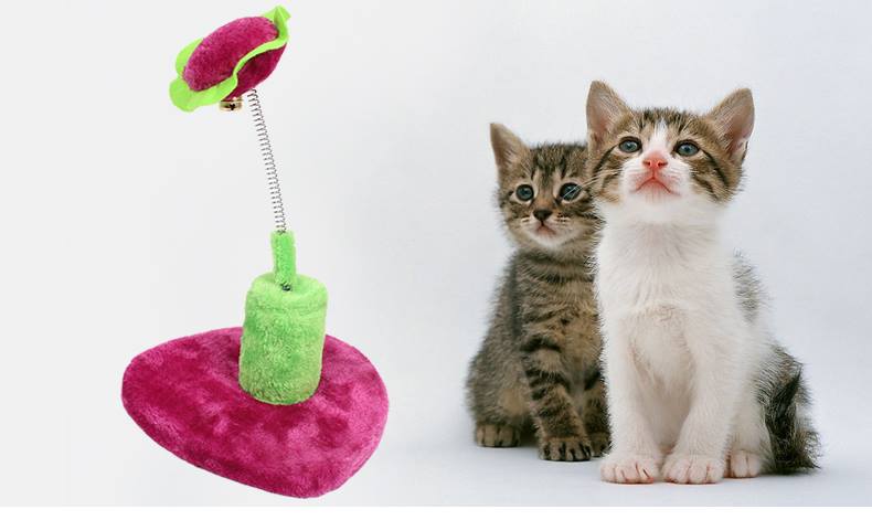 ของเล่นน้องแมว
