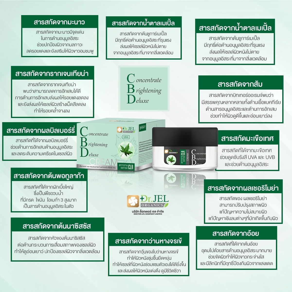 ส่วนประกอบสำคัญใน CBD CREAM