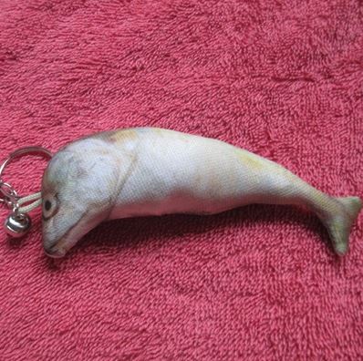 ของเล่นแมว ปลาทูนึ่งใส่แคทนิป