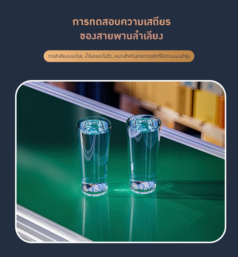 มินิสายพานลำเลียง (Mini Belt Conveyor System)