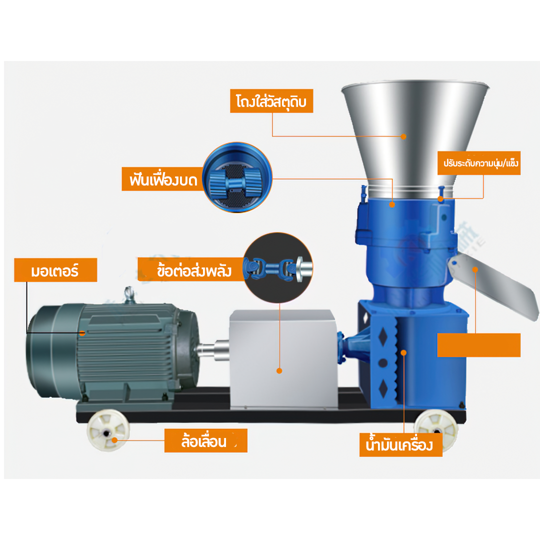 🌈13168 เครื่องอัดเม็ดอาหารสัตว์ อาหารอัดเม็ด แมว ปลา ไก่ นก วัว ใช้งานง่าย รุ่น 125 220v 4kw. animal feed pellet machine
