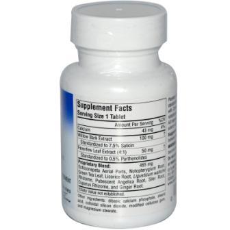 Planetary Herbals, Feverfew Head Aid, 615 mg, 100 Tablets