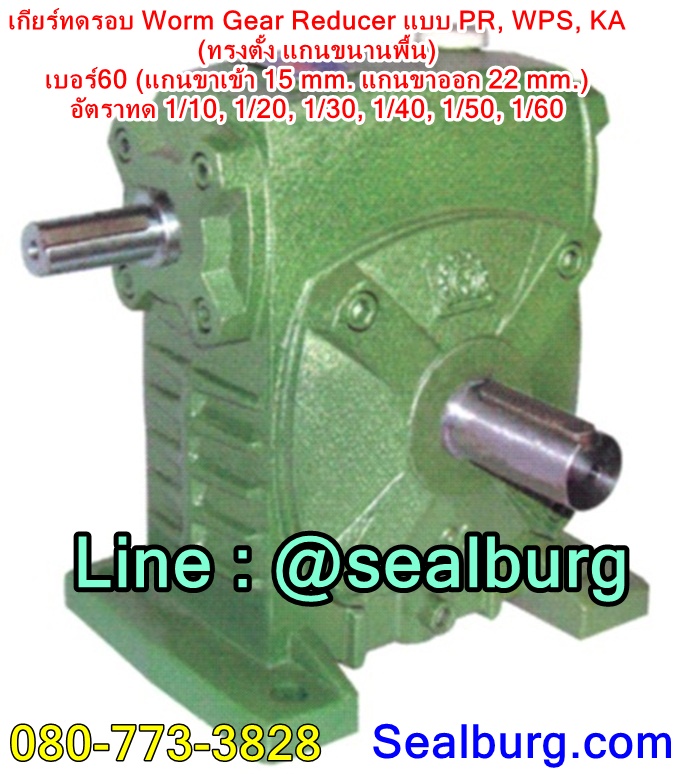 เกียร์ทดรอบ PR, WPS, KA (ทรงตั้ง แกนขนานพื้น) เบอร์60 (แกน 15, 22 mm.)