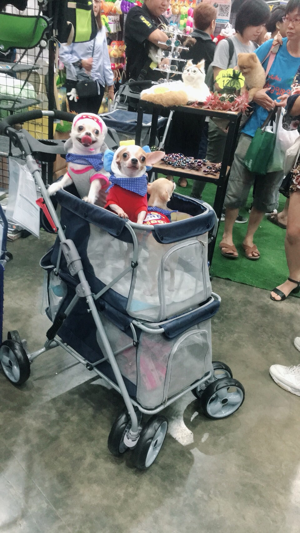 รถเข็นสัตว์เลี้ยง แบบสองชั้น ลดราคา