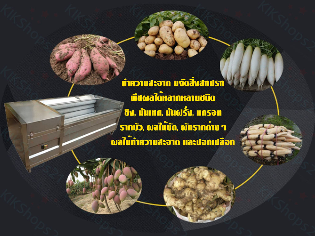 เครื่องปอกมันเทศ