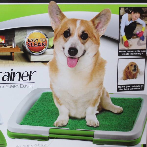 ถาดฝึกรองฉี่น้องหมา รุ่นหญ้าเทียม