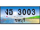 ทะเบียนชลบุรี ,ชลบุรี 3003 ,ป้ายประมูล, งธ 3003 ชลบุรี,ป้ายประมูลชลบุรี ,งธ 3003