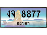 ทะเบียนสงขลา,สงขลา 8877 ,ป้ายประมูล, - งจ 8877 สงขลา,ป้ายประมูลสงขลา