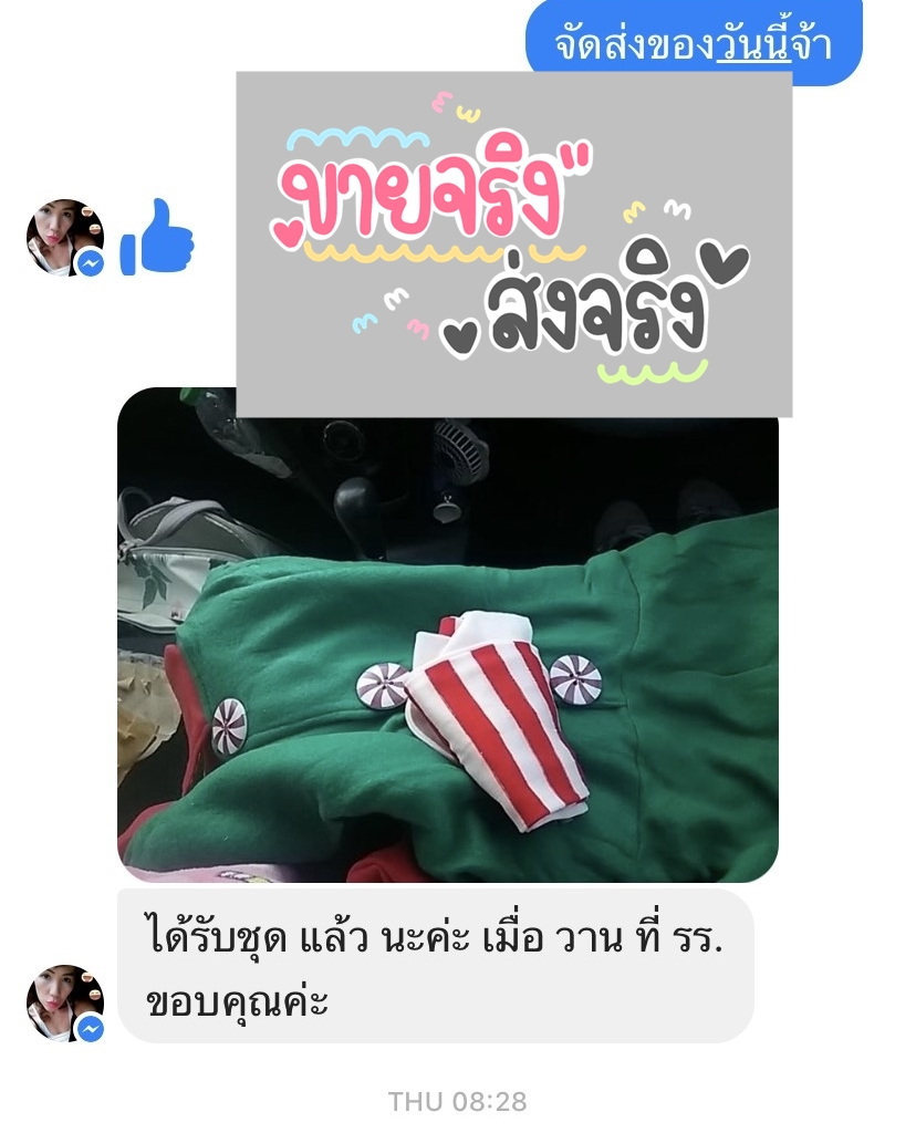 ชุดแฟนซีผู้ใหญ่ เอลฟ์สาวอวบ