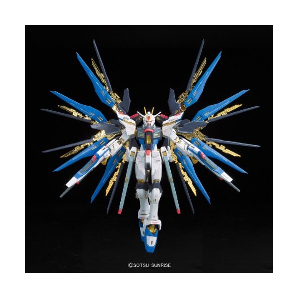 ZGMF-X20A Strike Freedom Gundam (RG)