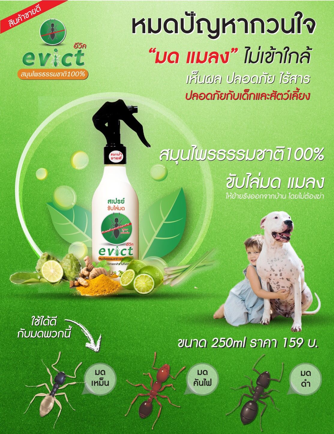สเปรย์ขับไล่มด แมลง ปลอดภัยกับเด็กและสัตว์เลี้ยง