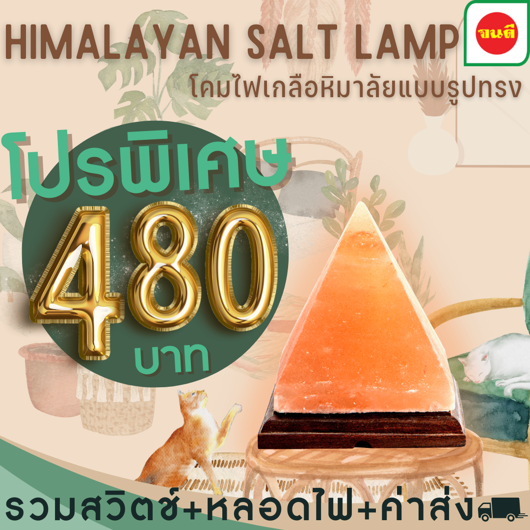 โปรพิเศษ โคมไฟเกลือหิมาลัยแบบรูปทรง #111350, #111400 และ #111450