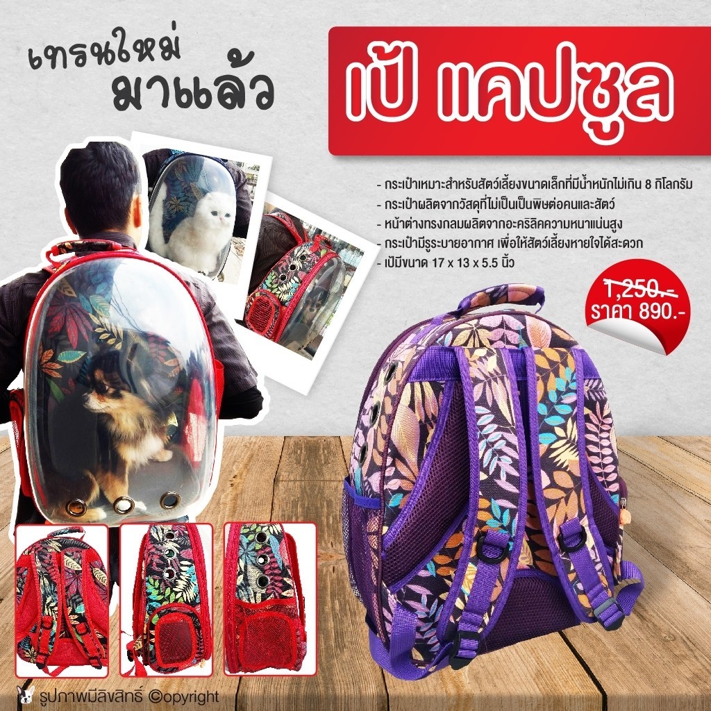 กระเป๋าเป้แคปซูล สำหรับสัตว์เลี้ยง