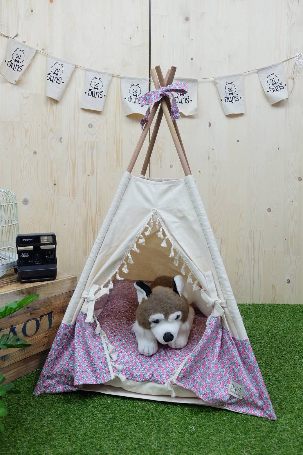 กระโจมสัตว์เลี้ยง สุดเก๋