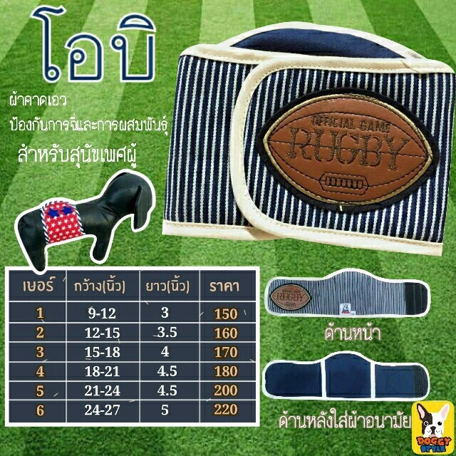 โอบิสำหรับน้องหมาตัวผู้