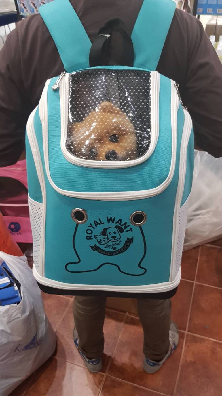 กระเป๋าสะพายใส่สัตว์เลี้ยง