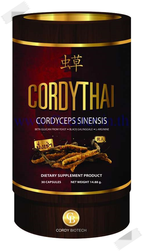CORDYTHAI, Cordyceps Sinensis สำหรับผู้ชาย 30 Capsules