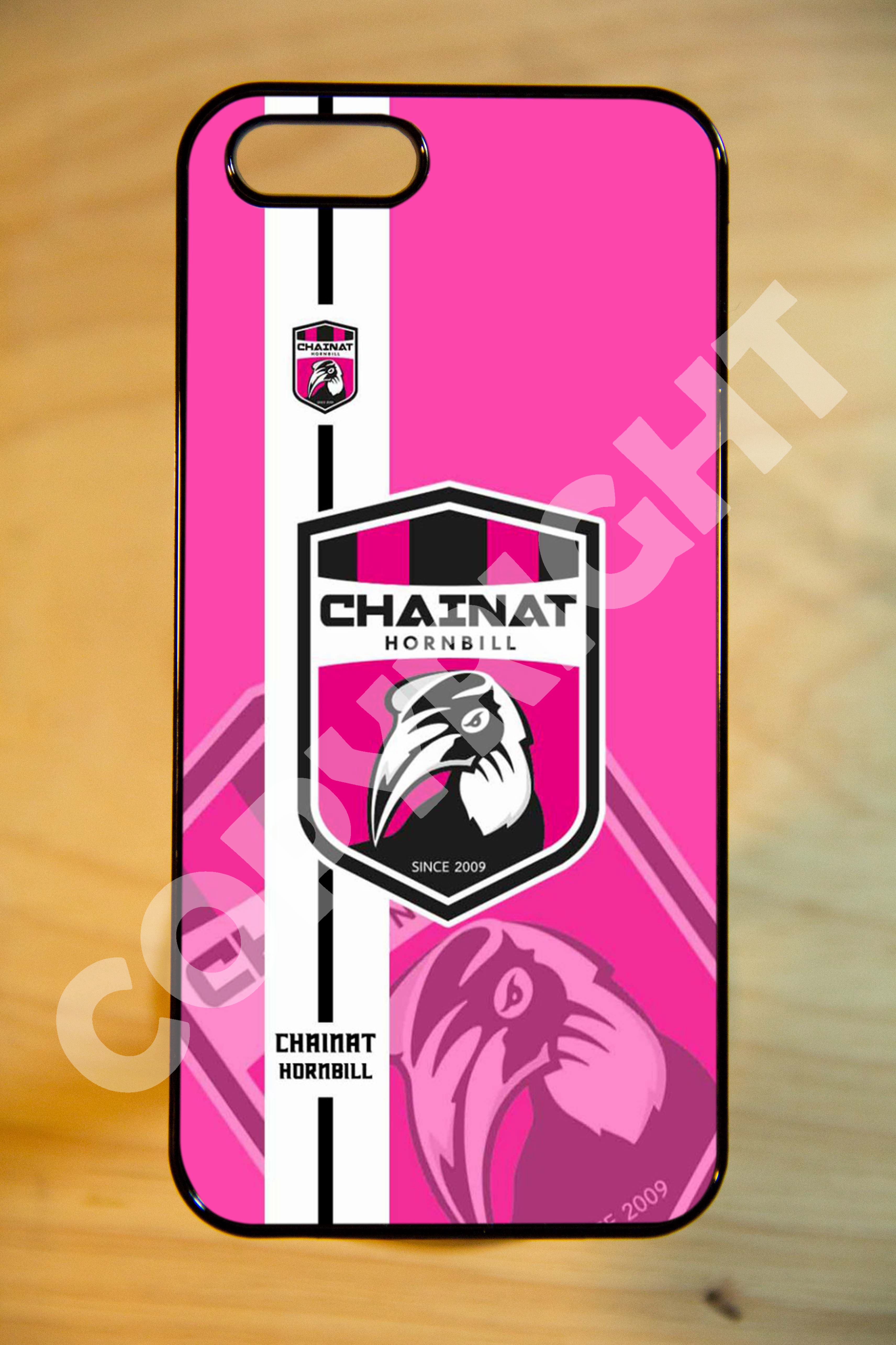 ทีม ชัยนาท FC