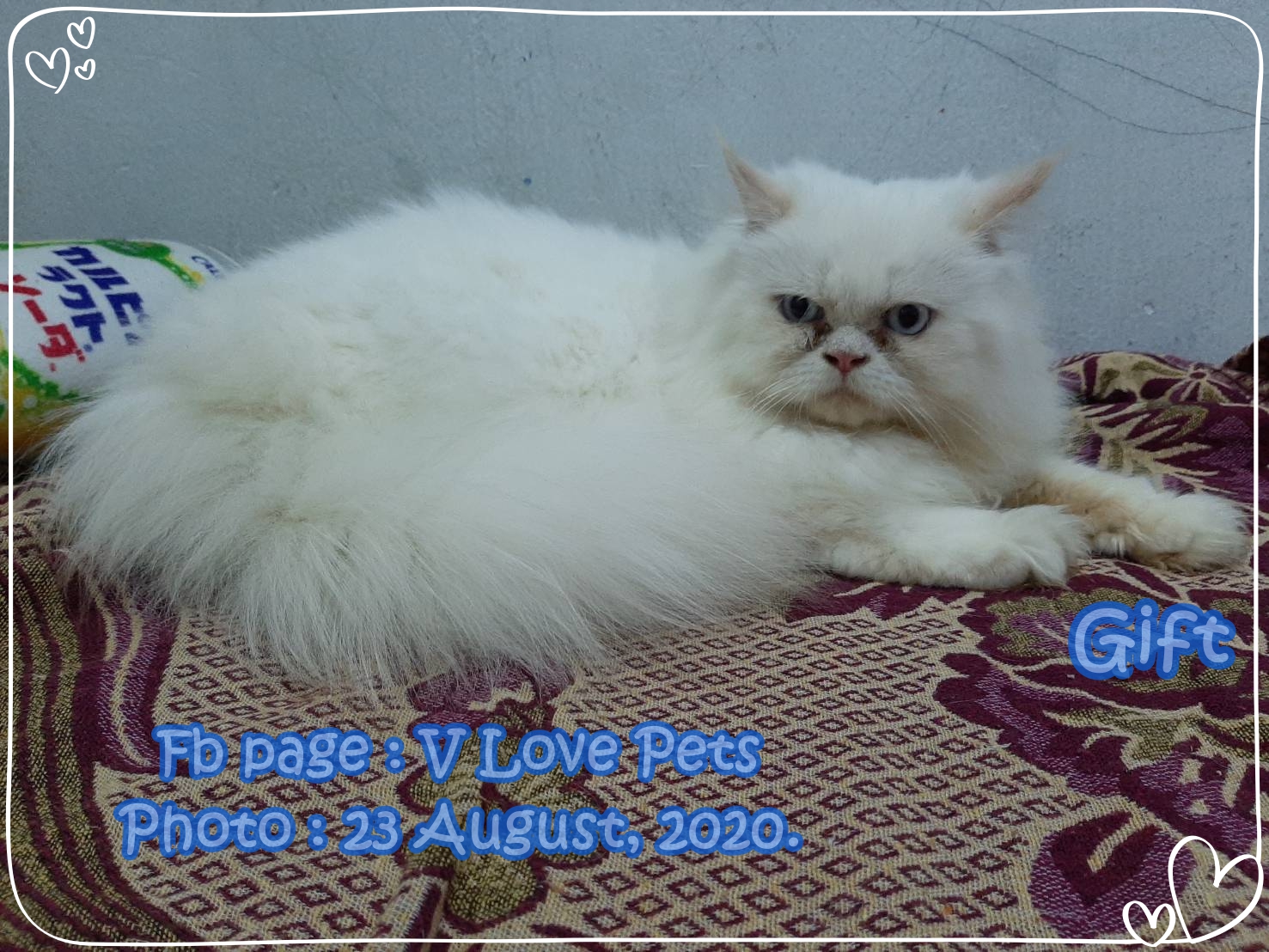 น้องกิ๊ฟ