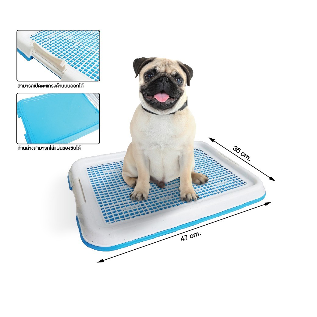 ห้องน้ำน้องหมา size เล็ก