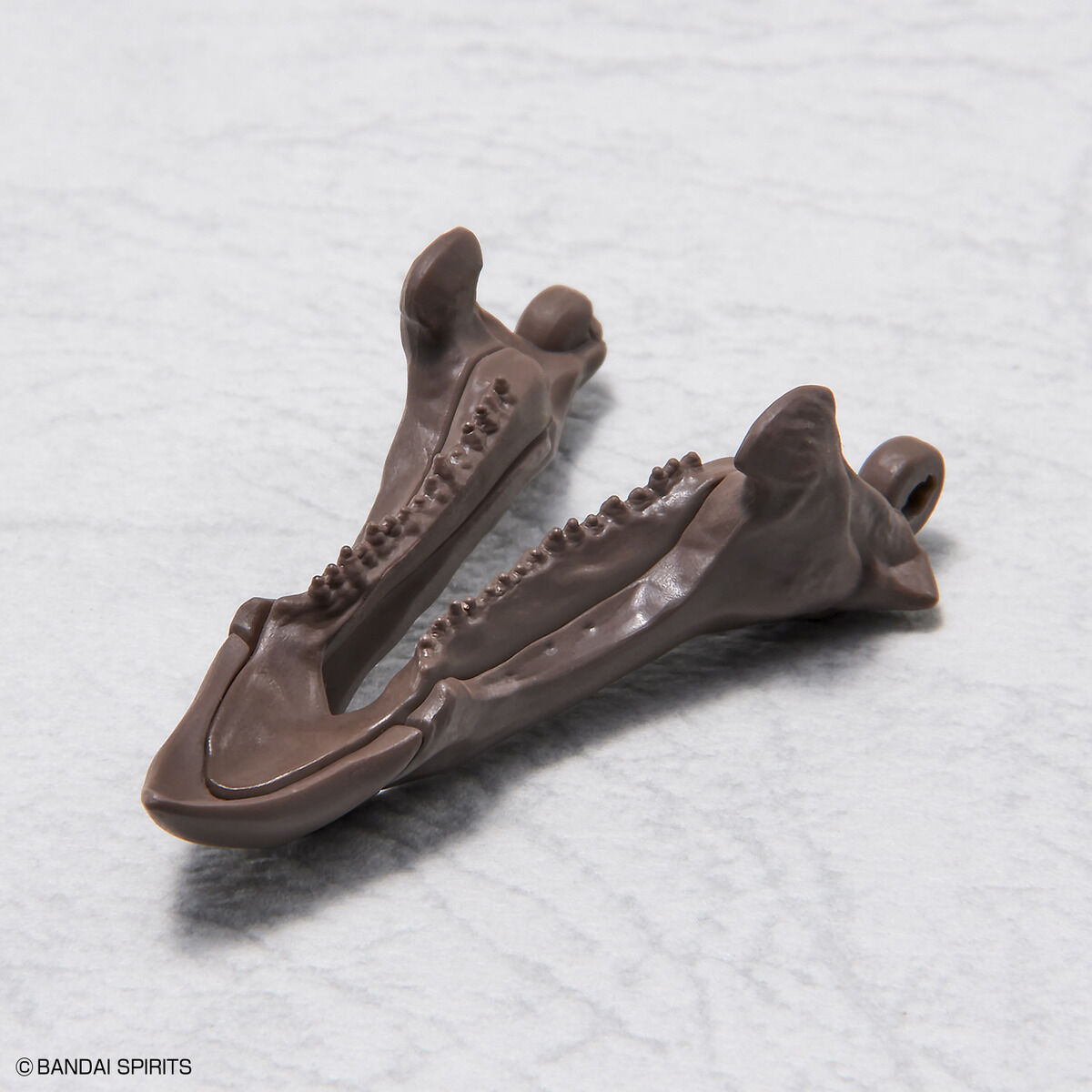 1/32 IMAGINARY SKELETON TRICERATOPS