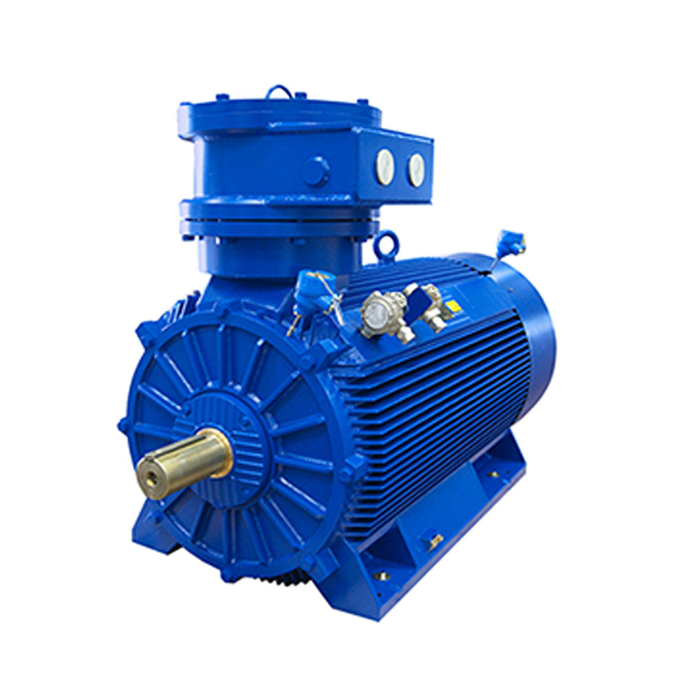 Marelli Flameproof Motors D5C - D6C - D5F